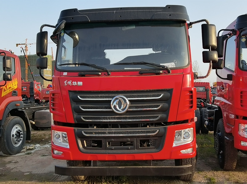 東風(fēng)華神 后雙橋新品上市了